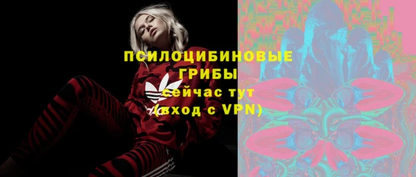 соль курить ск Елизово
