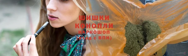марки nbome Ельня