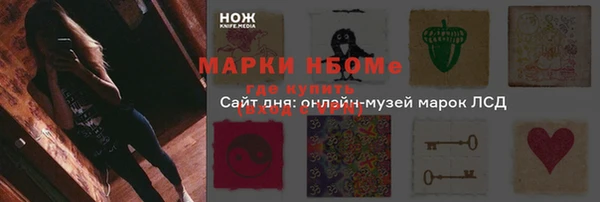 PSILOCYBIN Елабуга