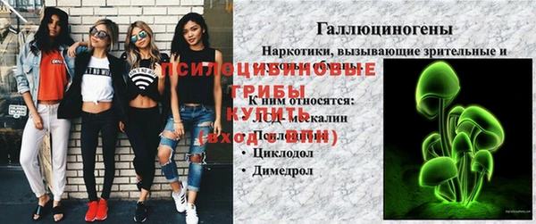 PSILOCYBIN Елабуга
