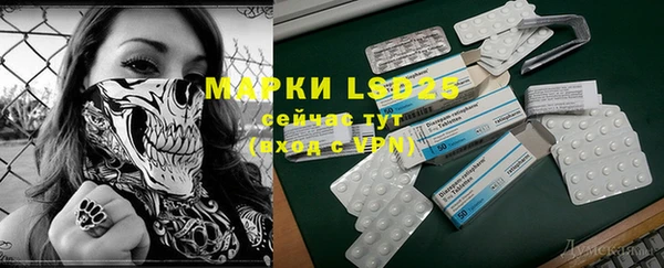 PSILOCYBIN Елабуга