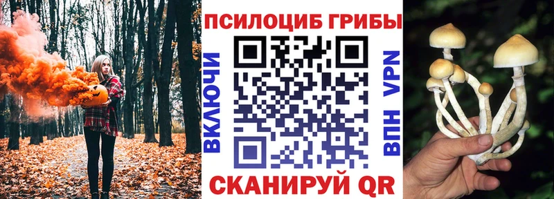 Псилоцибиновые грибы Magic Shrooms  цены   Ирбит 