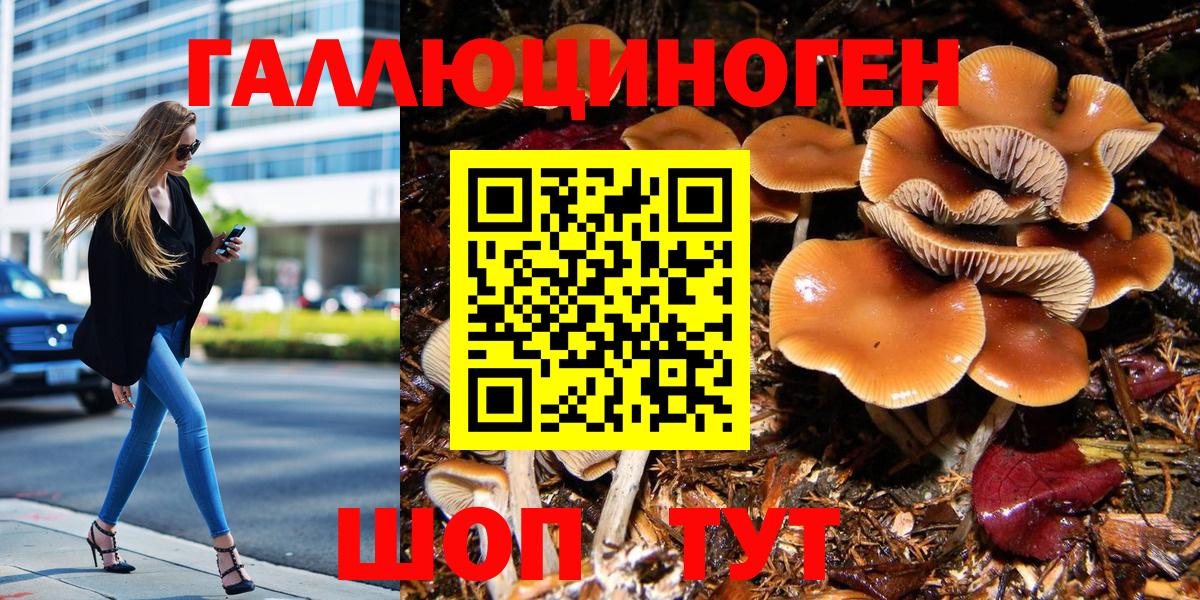 Псилоцибиновые грибы Psilocybine cubensis Ирбит