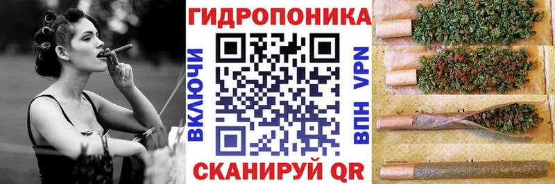 гидра   купить наркотики сайты  Ирбит  Шишки марихуана Amnesia 